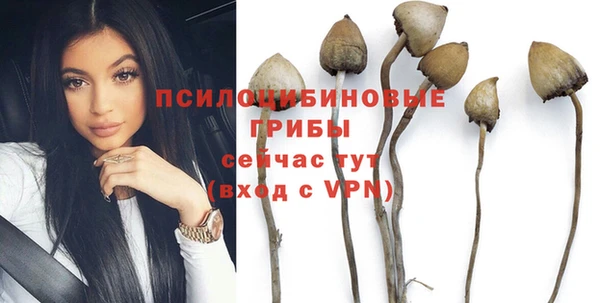 тгк Краснотурьинск
